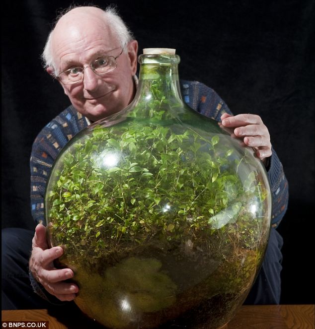 Ecosystem in a Bottle