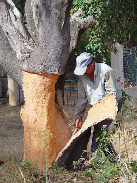 Cork cutter at work